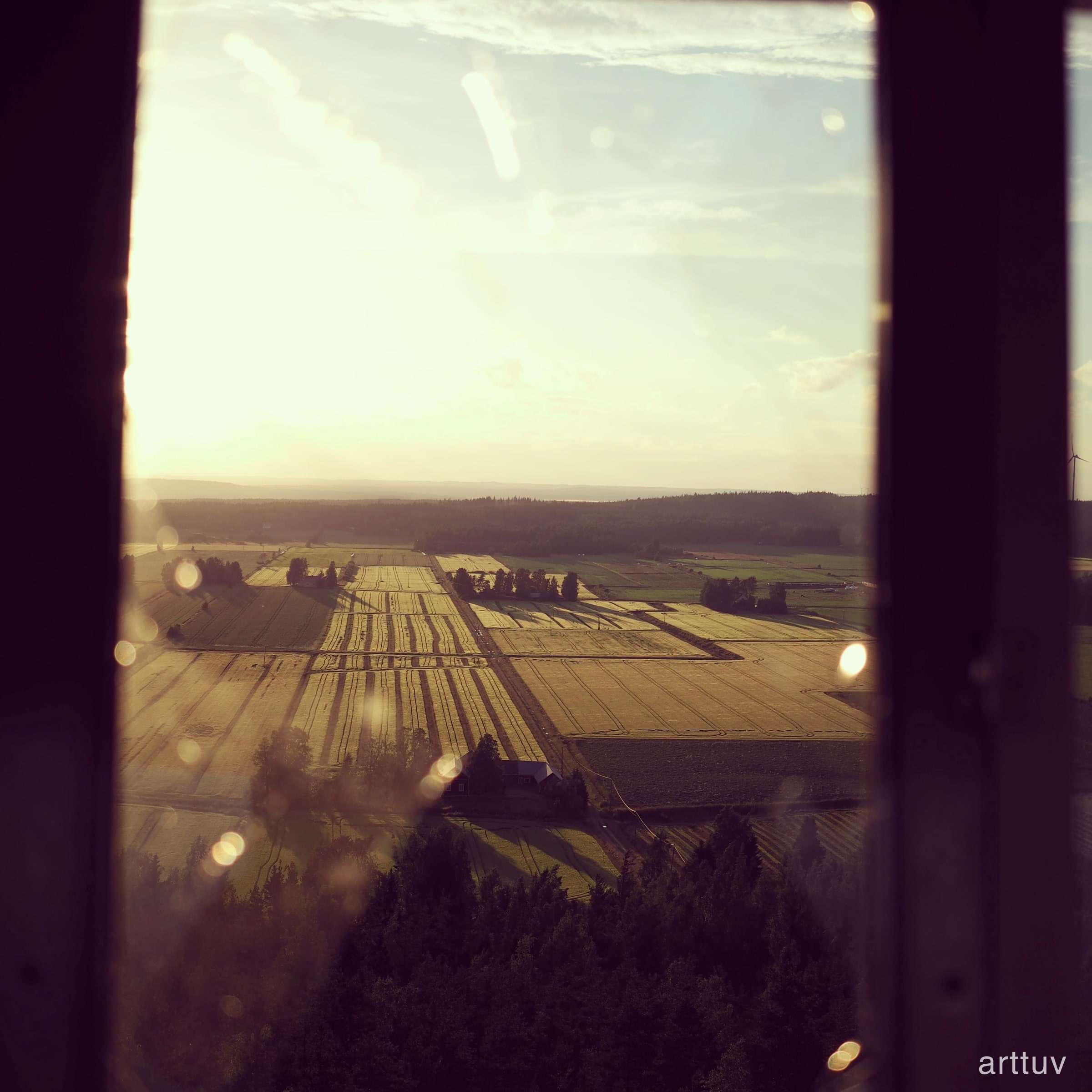 A golden field and distant tree line seen through a bright window with dark framing around the edges.