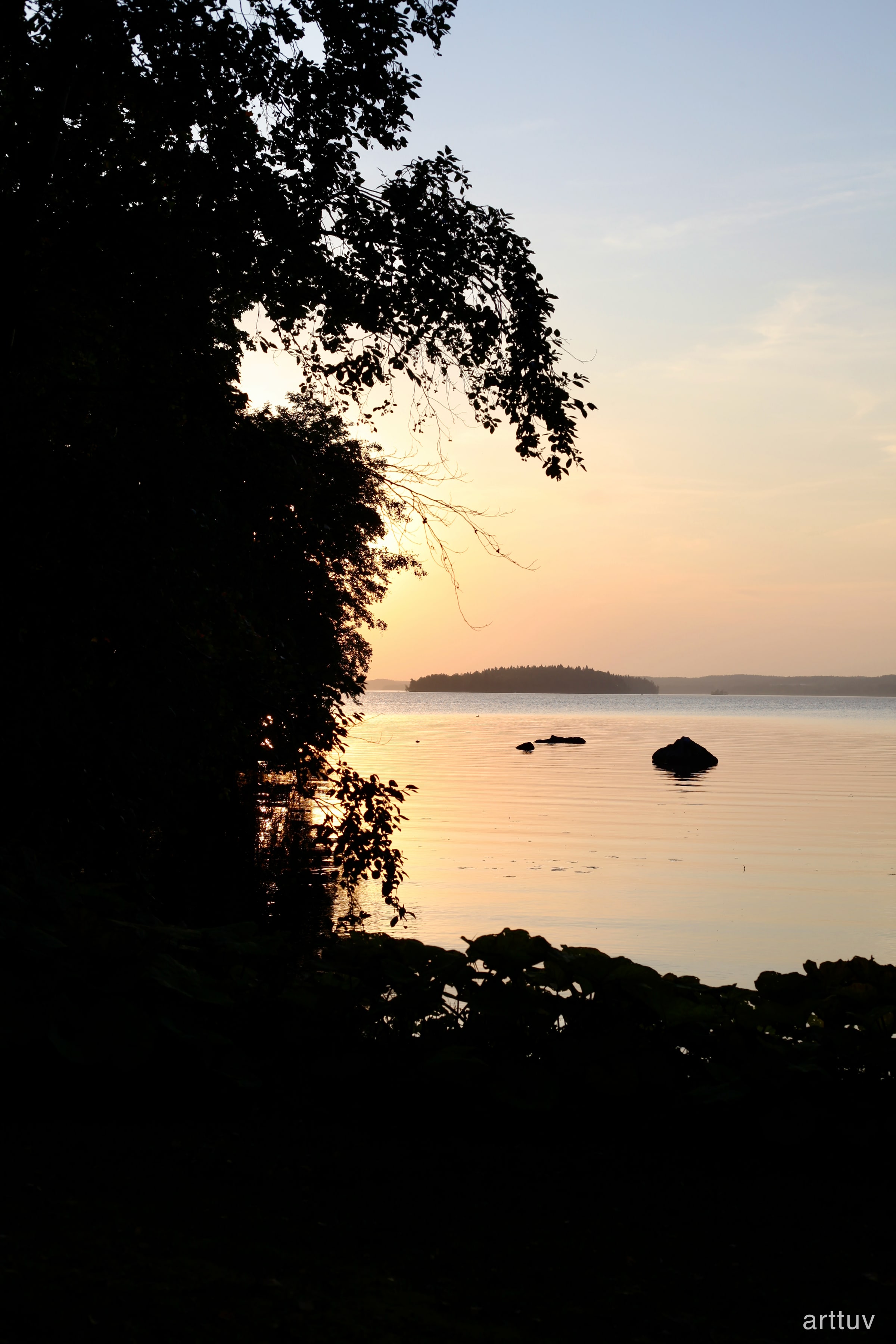 Dark leafy branches silhouetted against a warm sunset over a calm lake and distant shoreline.