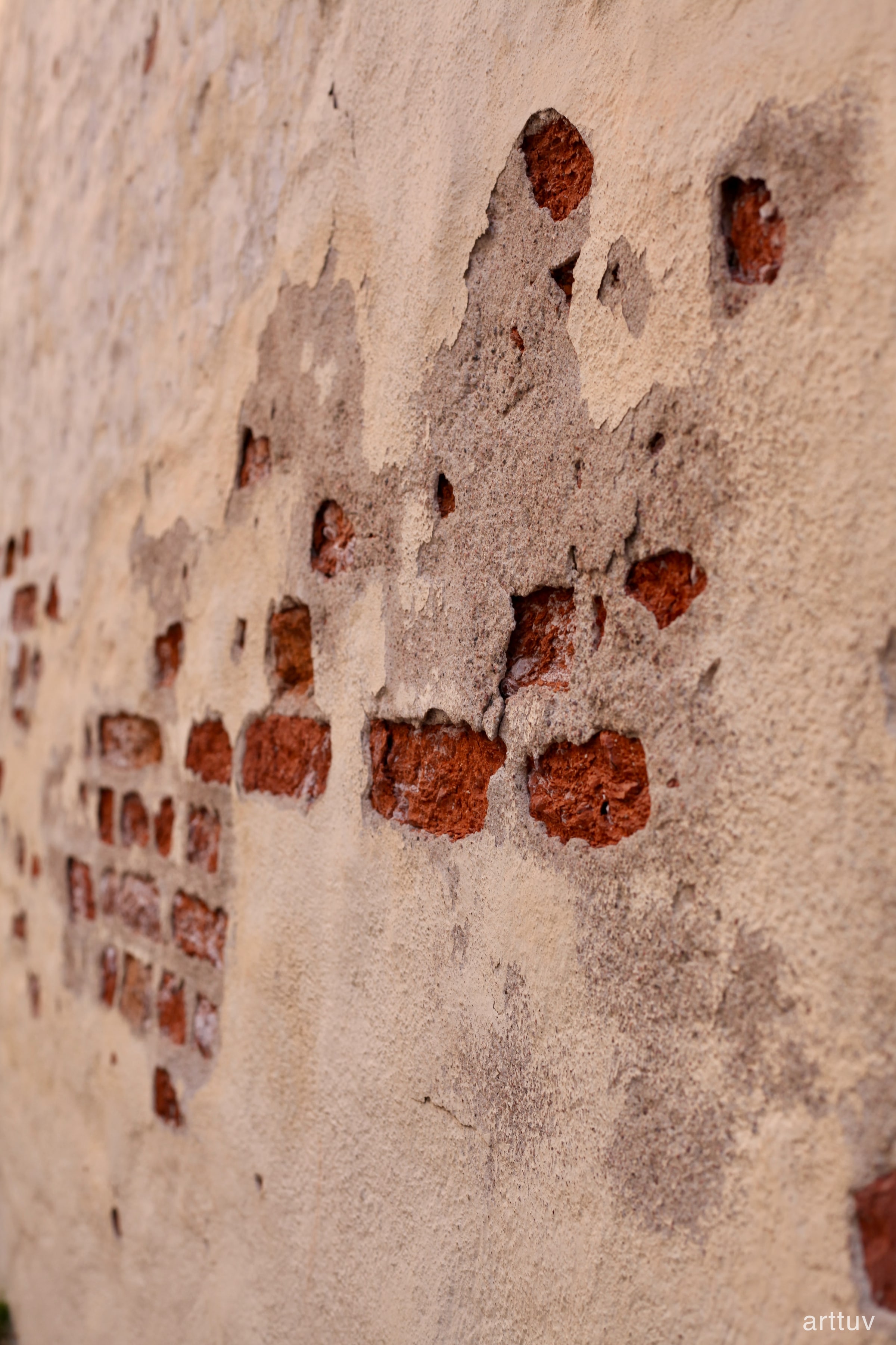 A close photograph of a slightly broken brick wall.